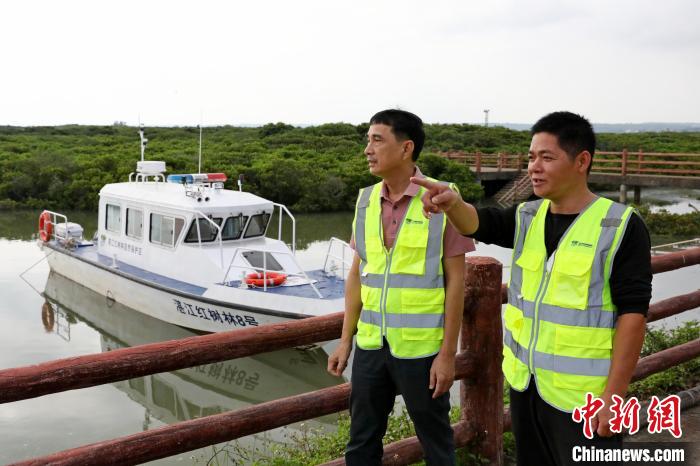 探访广东湛江高桥红树林自然保护区